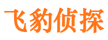 阳新侦探公司